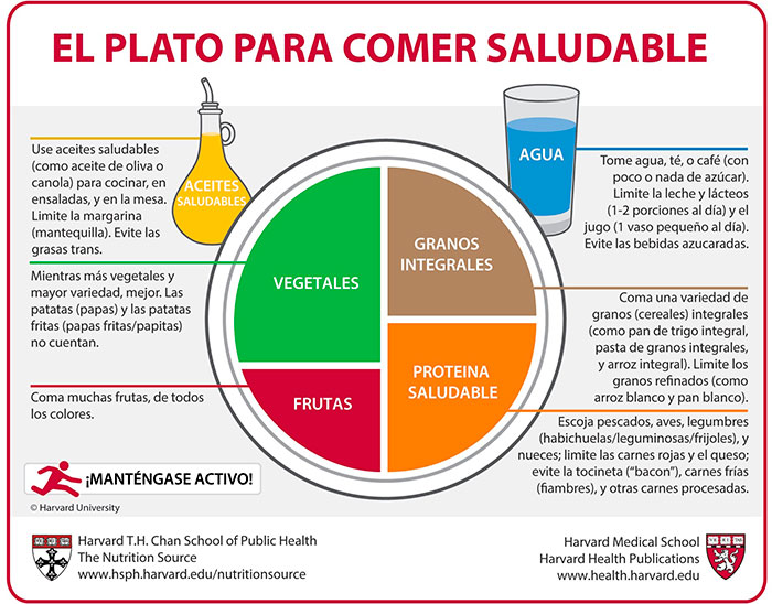 Plato de Harvard