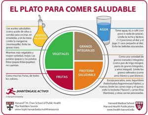 plato harvard no hay excusas