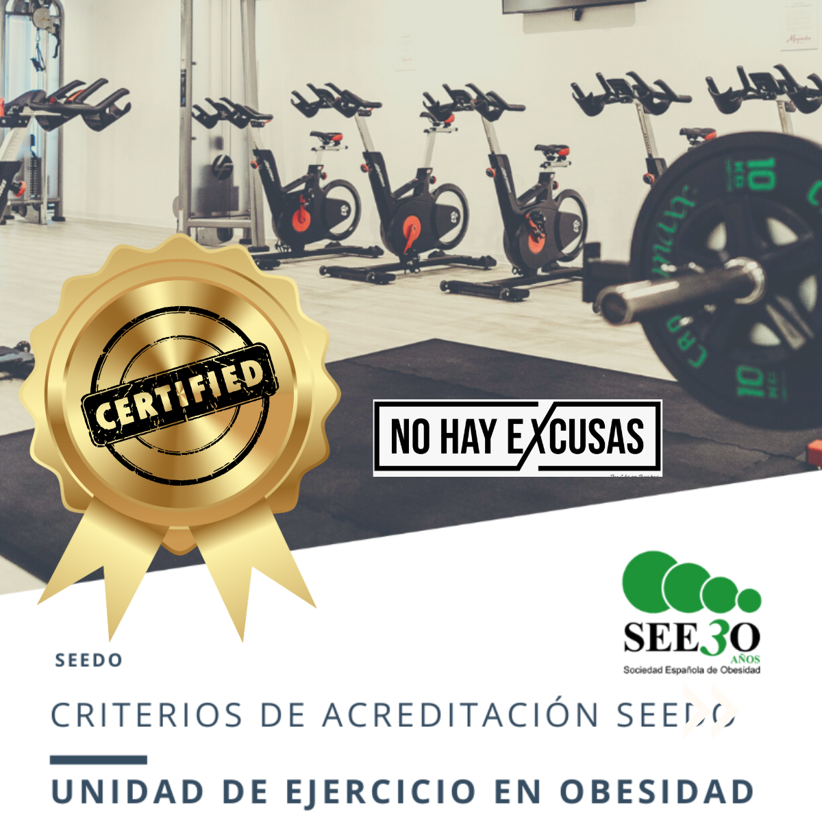unidad de ejercicio físico en obesidad acreditada por SEEDO NO HAY EXCUSAS